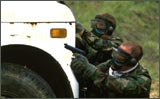 IRM Training Services