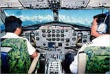 IRM Aviation Security